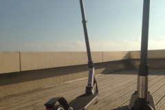 patin