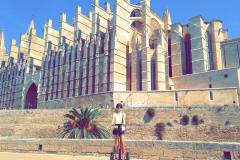 39486045_302176993932332_3635012671520112640_n